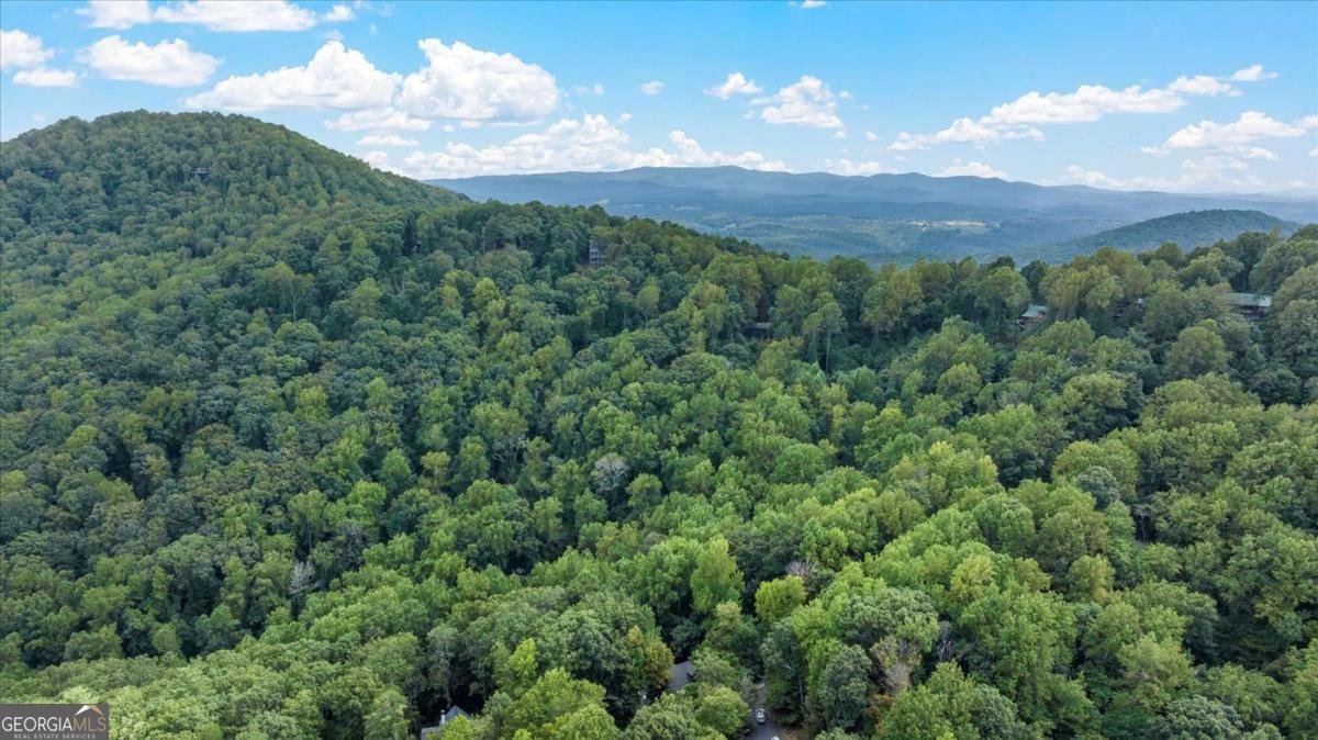 1083 Mountain Oak Road Ellijay - 38