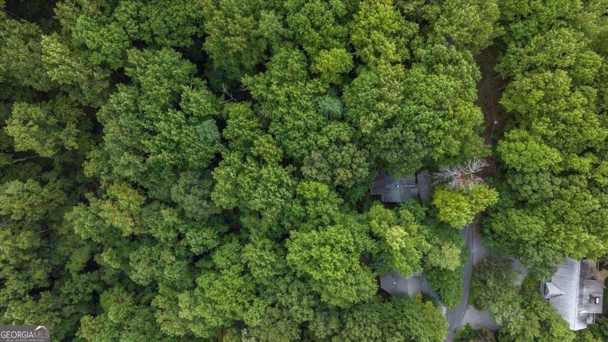 1083 Mountain Oak Road Ellijay - 40