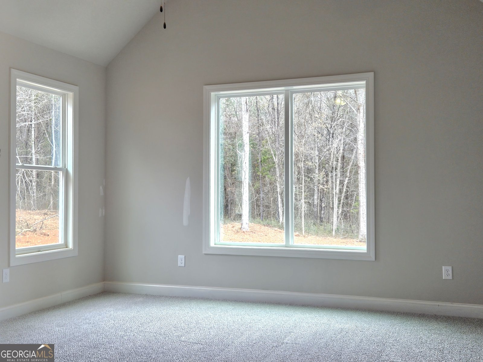 757 Alex Stephens Road Moreland - Photo 20