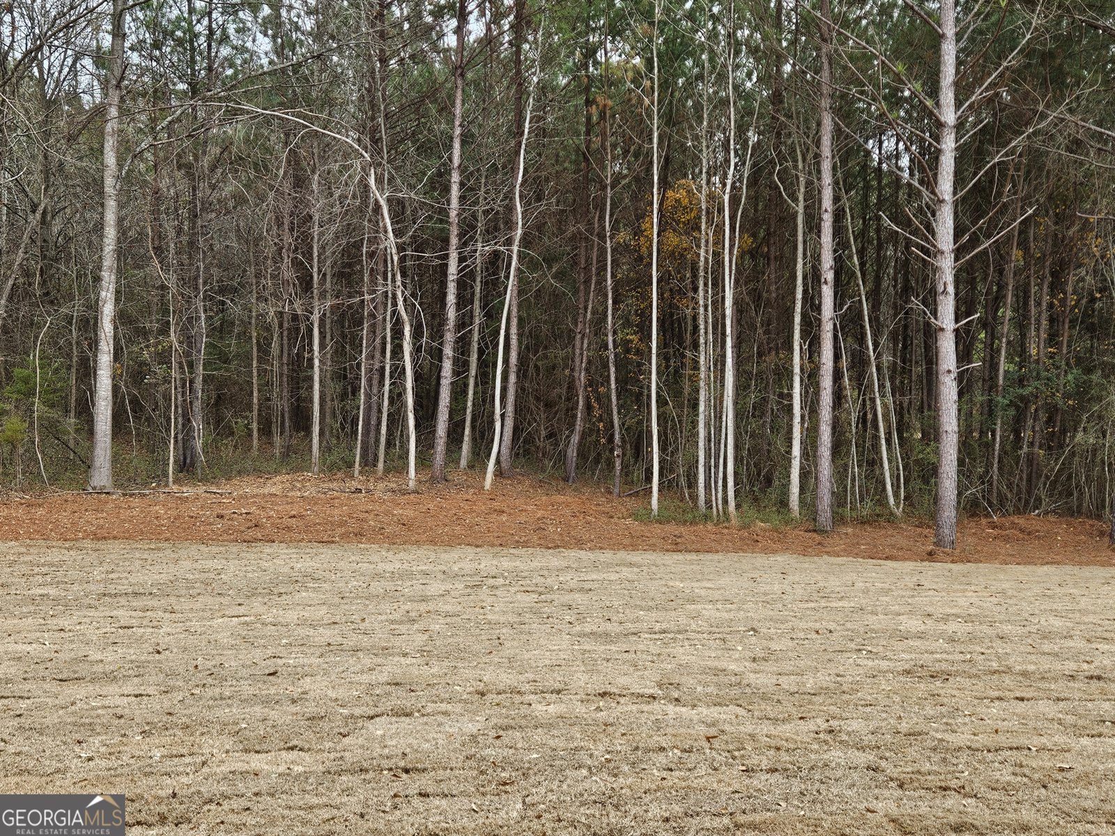 757 Alex Stephens Road Moreland - Photo 30