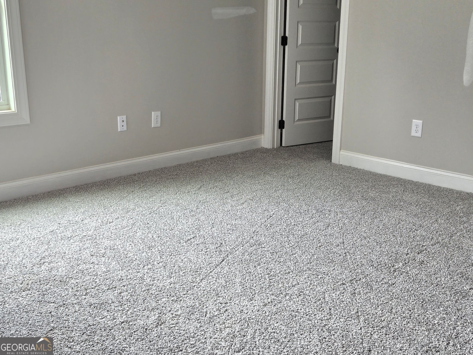 757 Alex Stephens Road Moreland - Photo 8