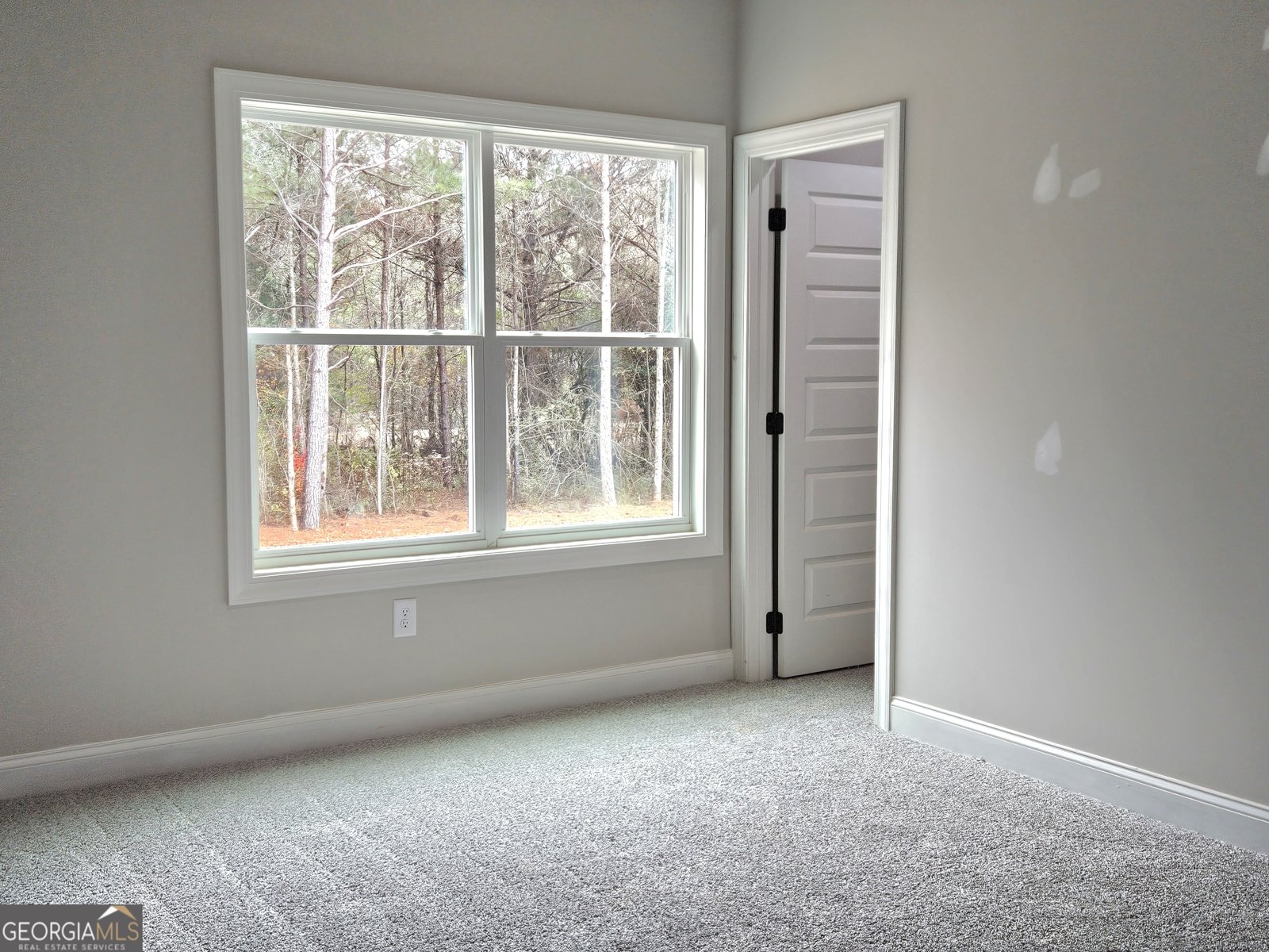 757 Alex Stephens Road Moreland - Photo 9