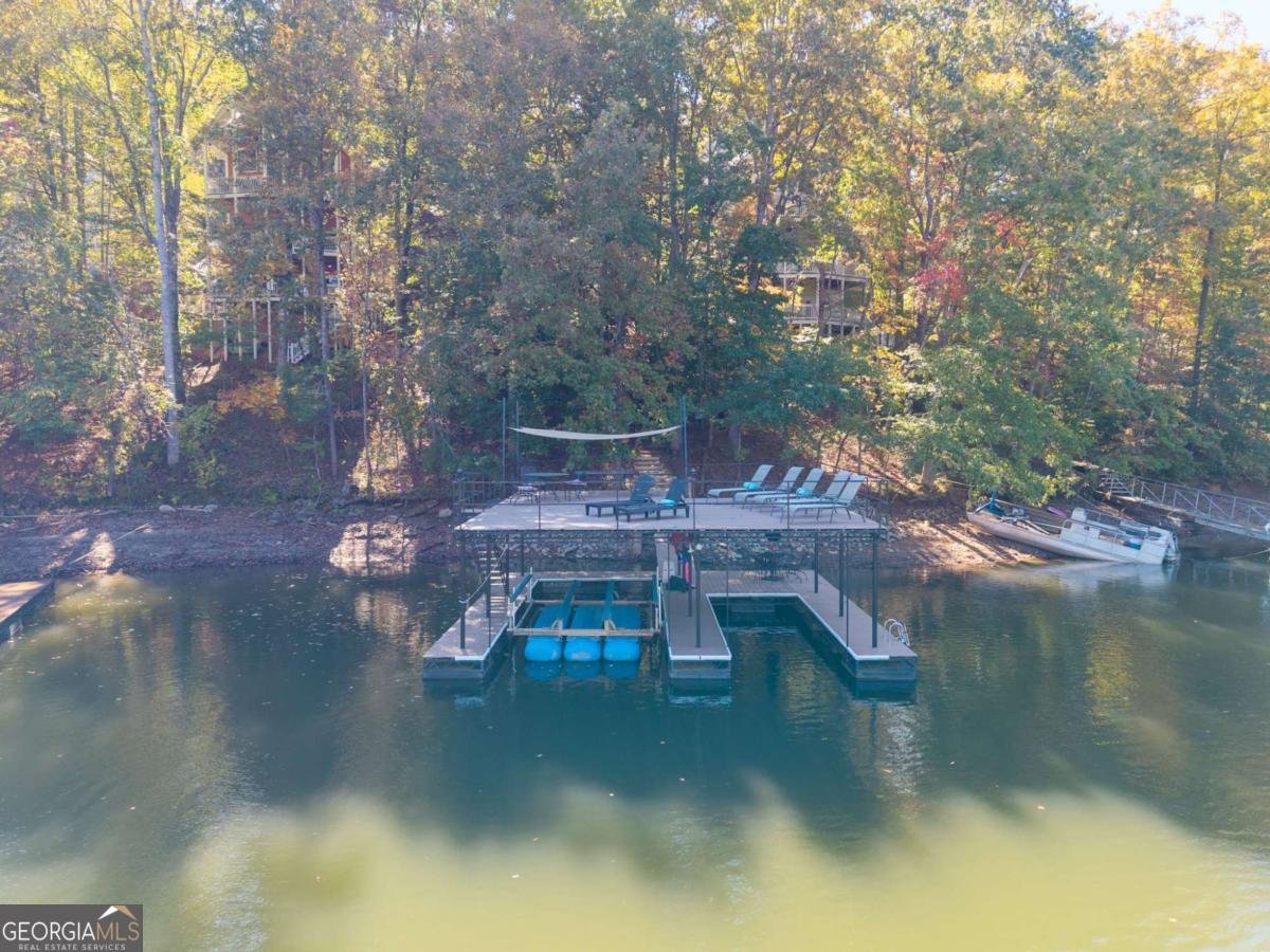 281 CHESTATEE VIEW Drive Dawsonville - 23