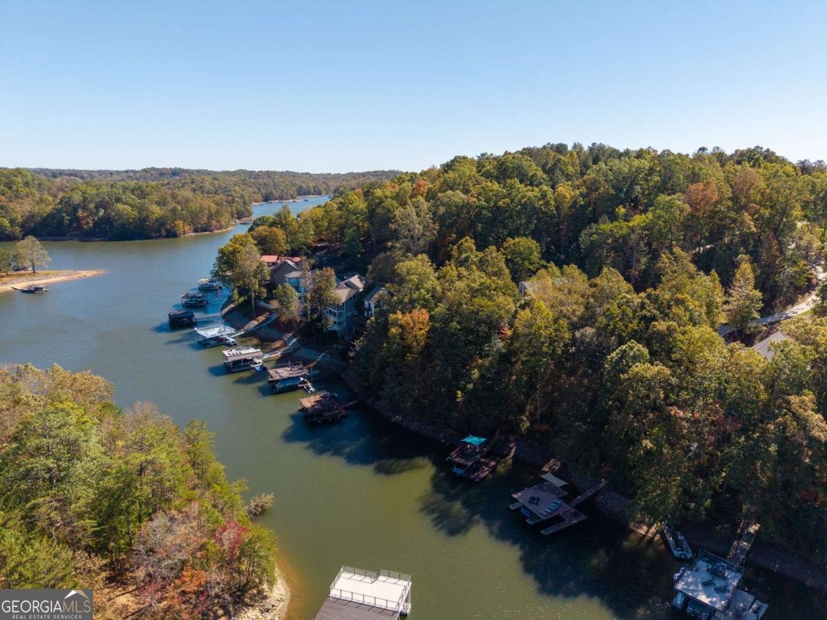 281 CHESTATEE VIEW Drive Dawsonville - 66