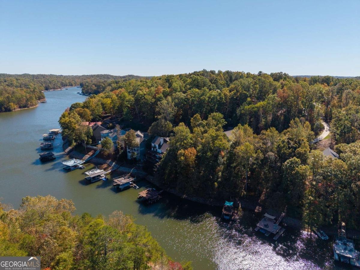 281 CHESTATEE VIEW Drive Dawsonville - 67