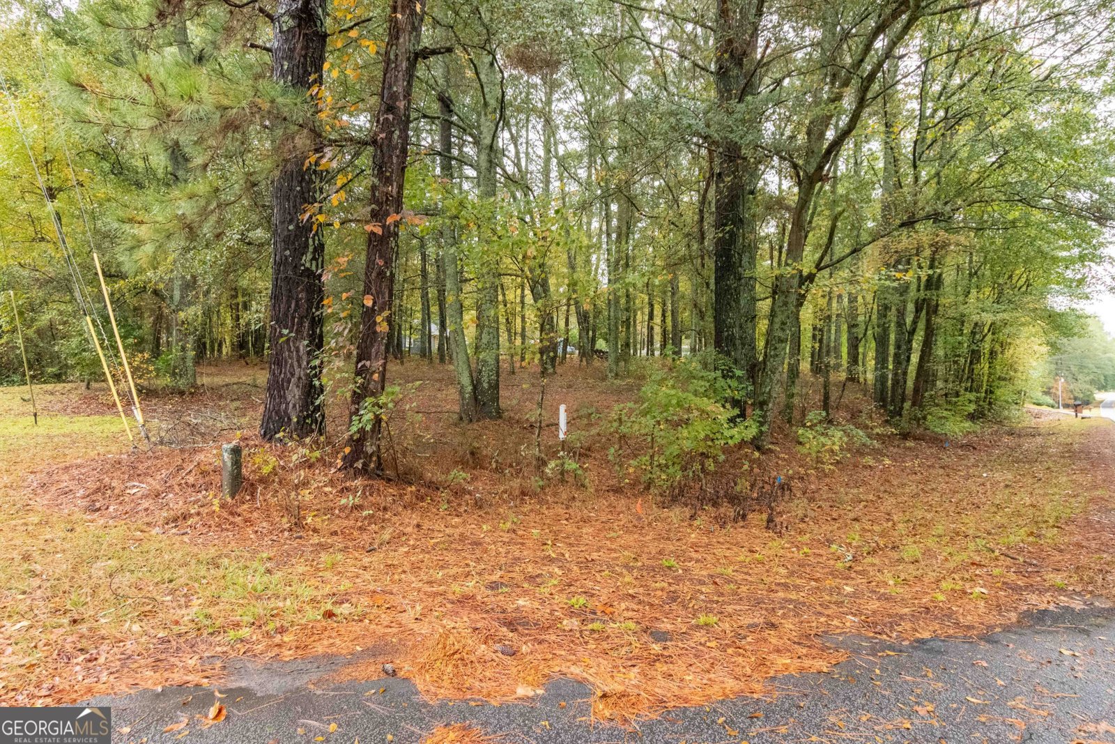 3058 Broadnax Mill Road Loganville - 12