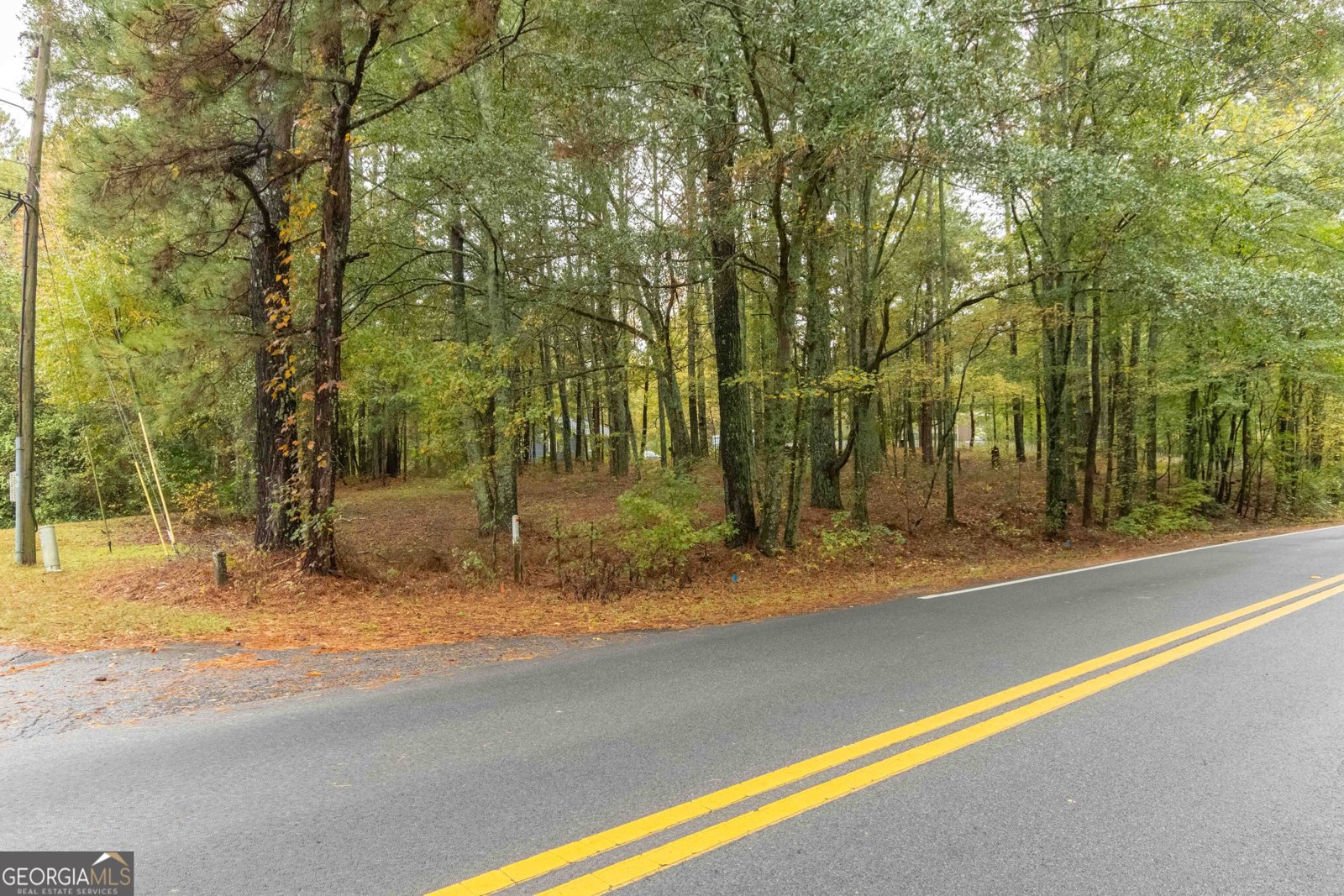 3058 Broadnax Mill Road Loganville - 13