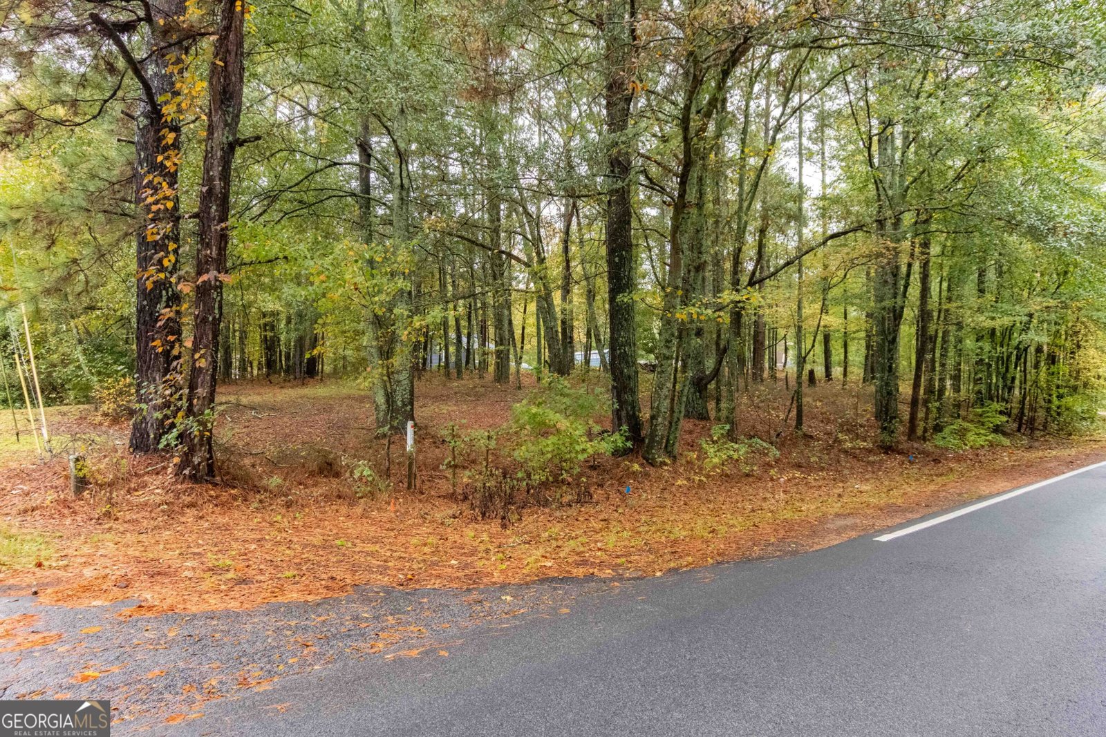 3058 Broadnax Mill Road Loganville - 14