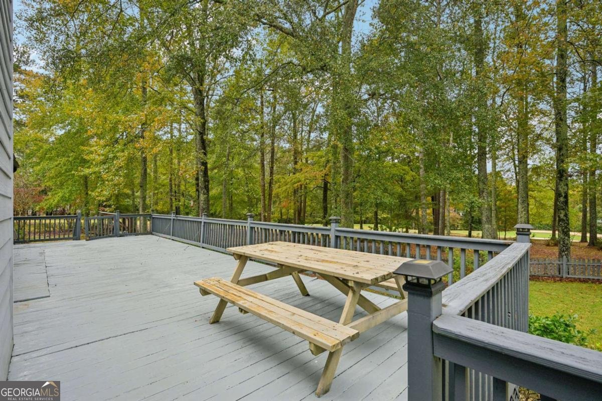 7379 Mitchell Court Villa Rica - 45