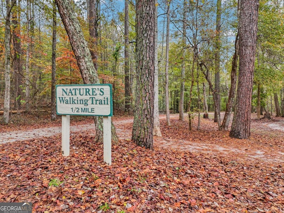 7379 Mitchell Court Villa Rica - 62