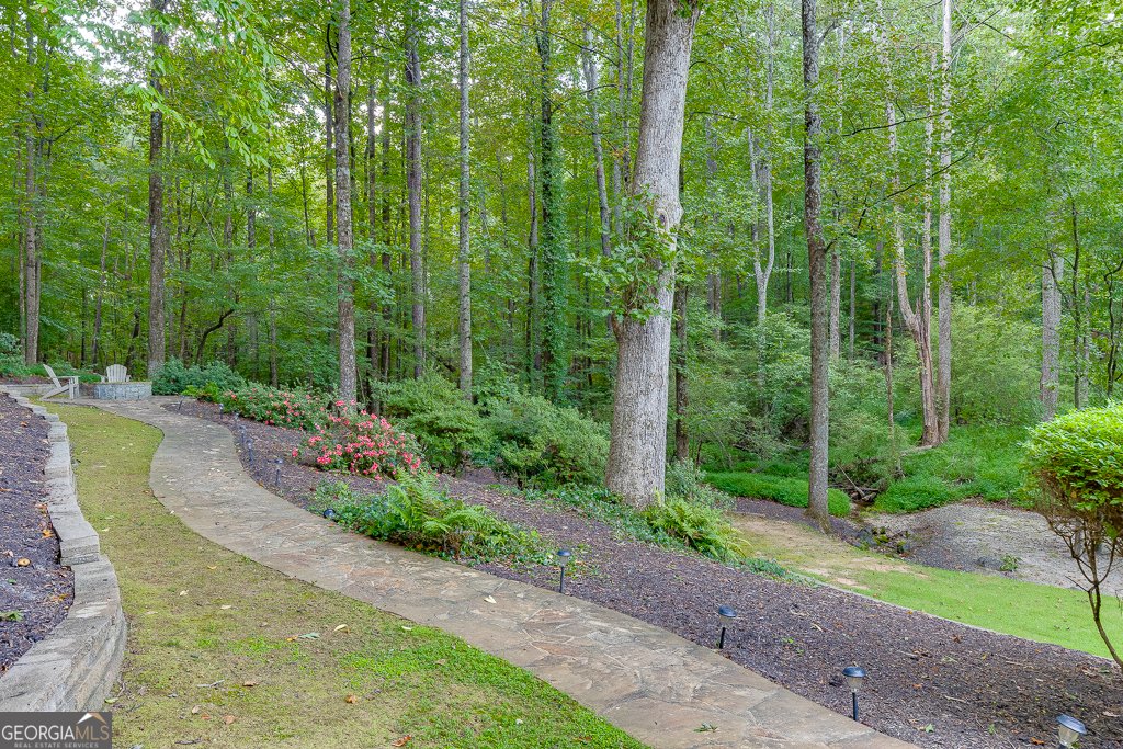 3410 Coles Creek Drive Buford - 47