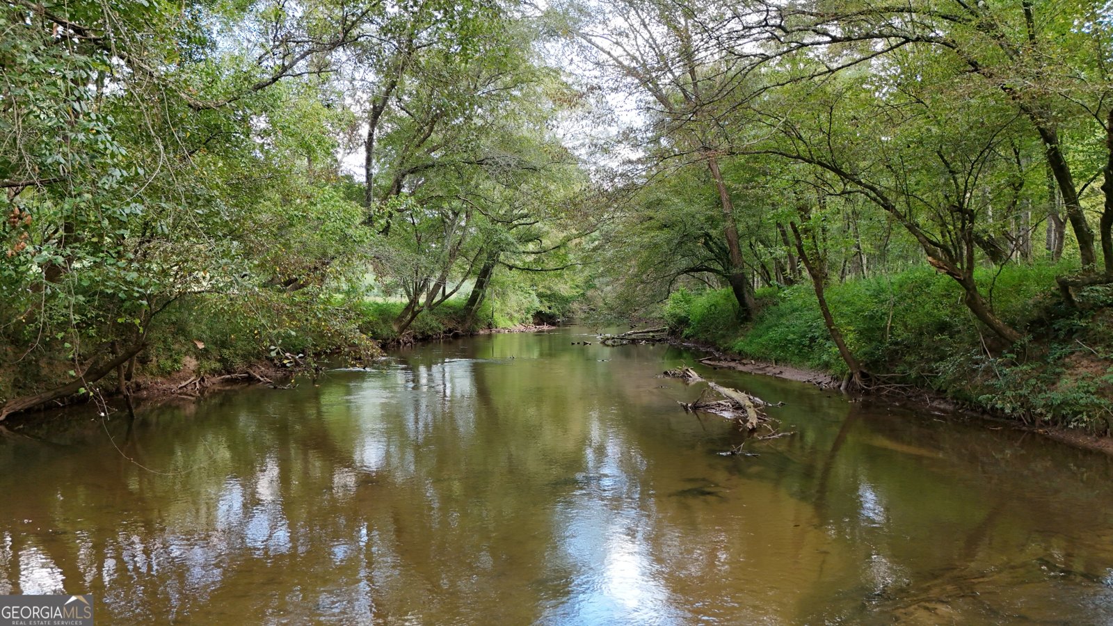 264 River Fields Drive Clarkesville - 72