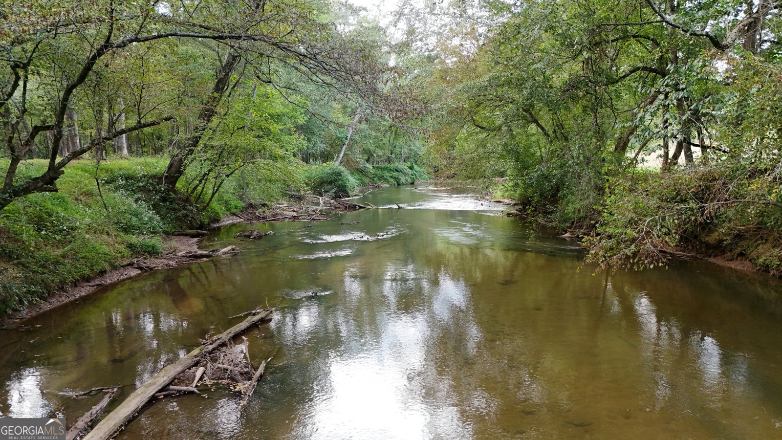 264 River Fields Drive Clarkesville - 80