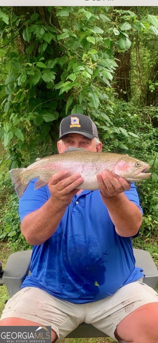 264 River Fields Drive Clarkesville - 84