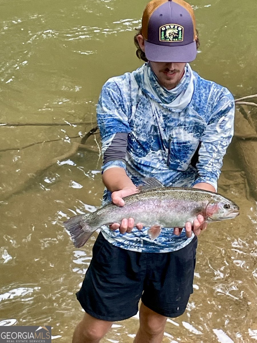 264 River Fields Drive Clarkesville - 85