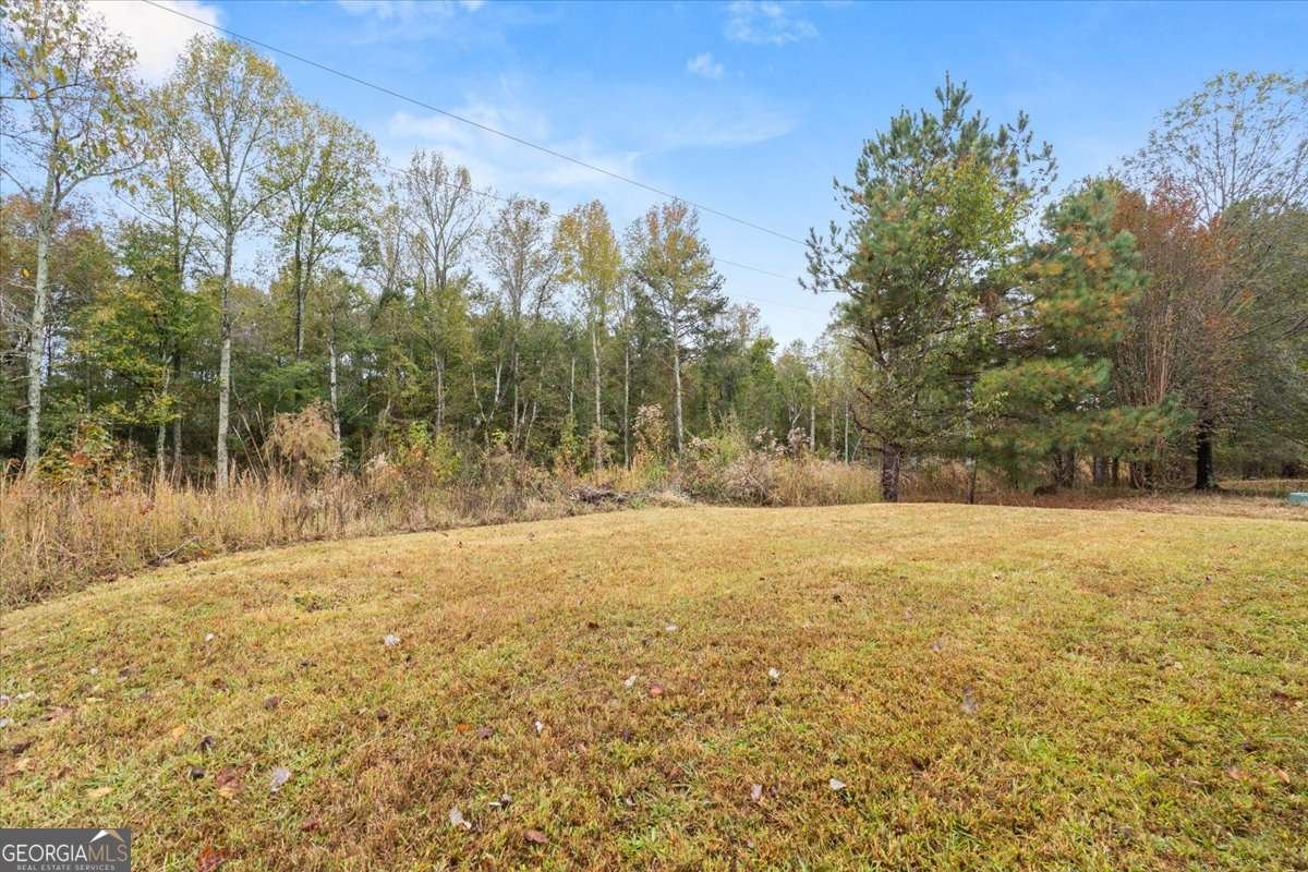 6588 Browns Mill Ferry Drive Lithonia - 27