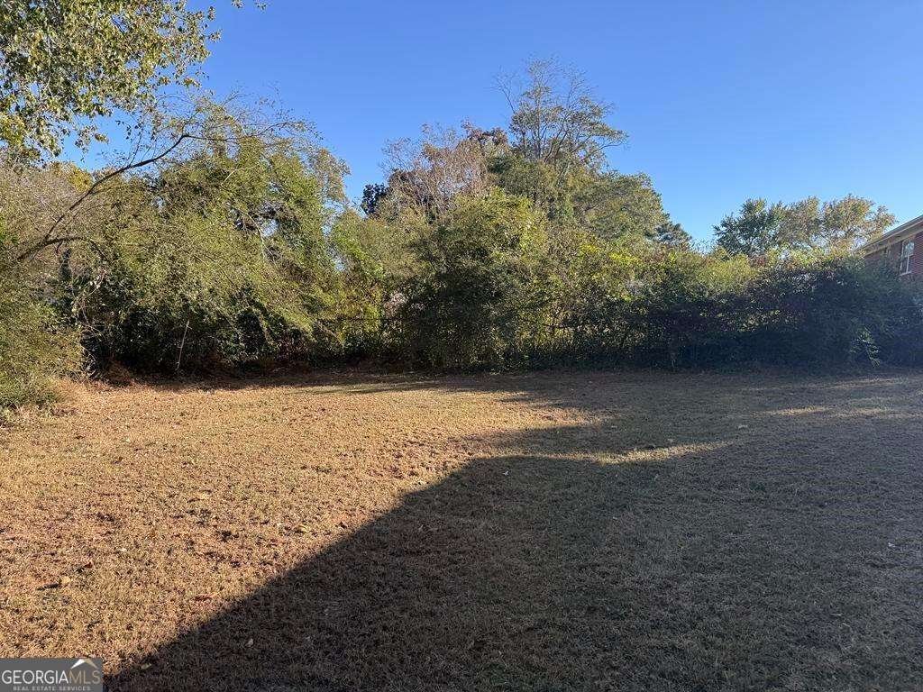 106 Flippen Road Stockbridge - 16