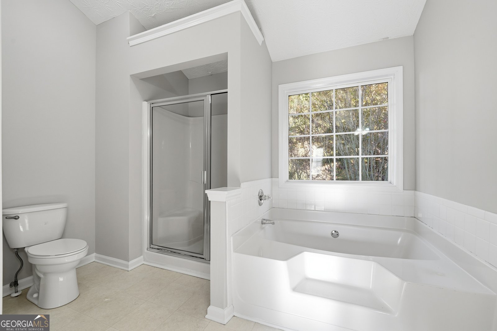 860 Chimney Trace Way Lawrenceville - 19