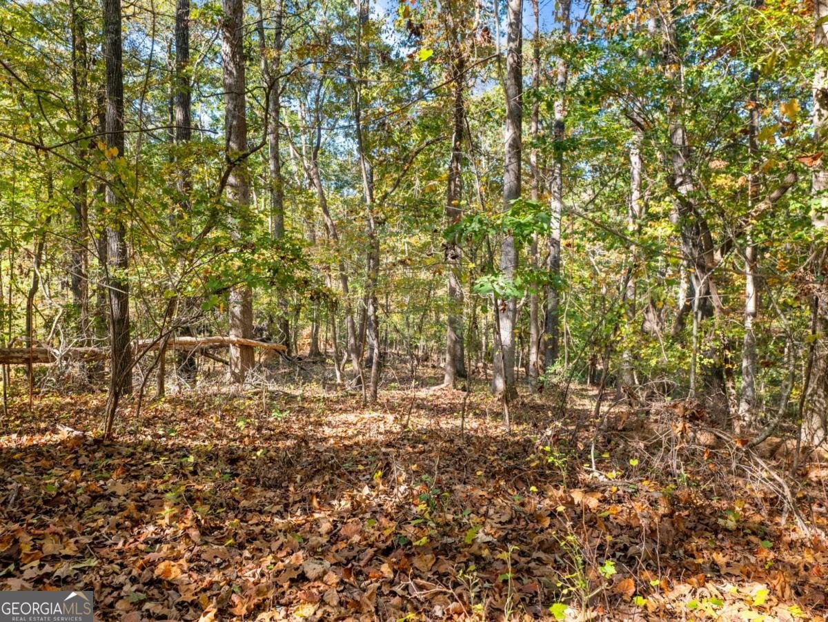 8755 Covestone Drive Gainesville - 41