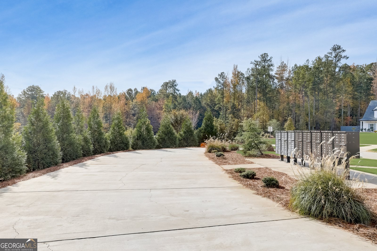 98 Ryeland Drive Senoia - 37