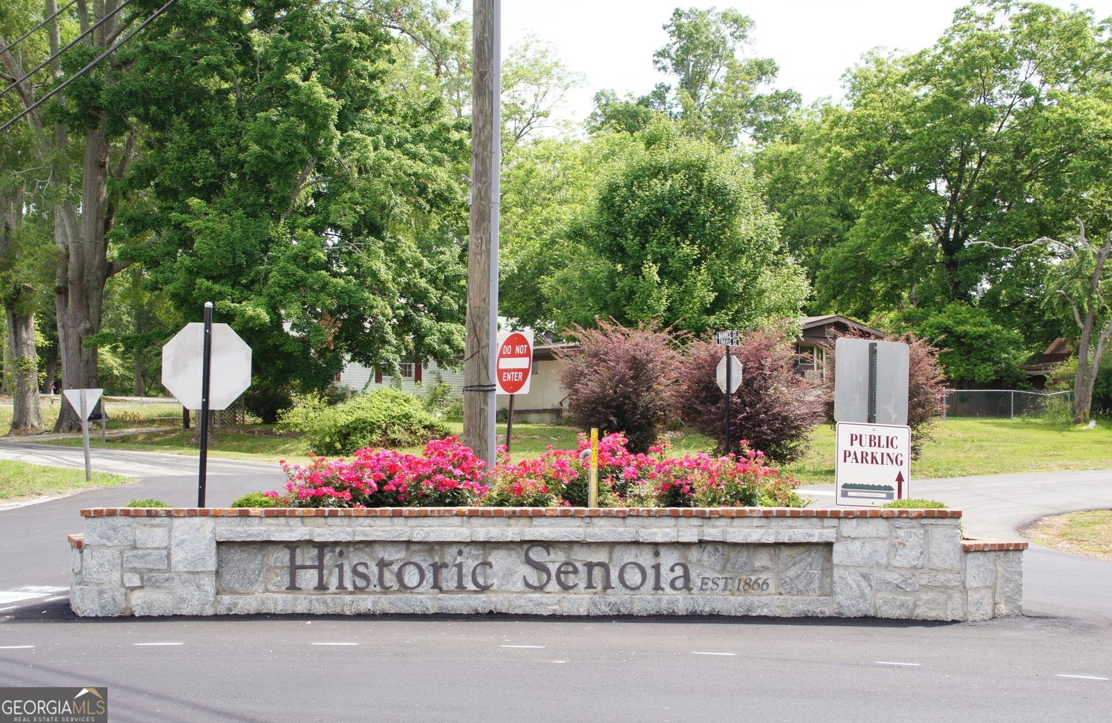 98 Ryeland Drive Senoia - 60