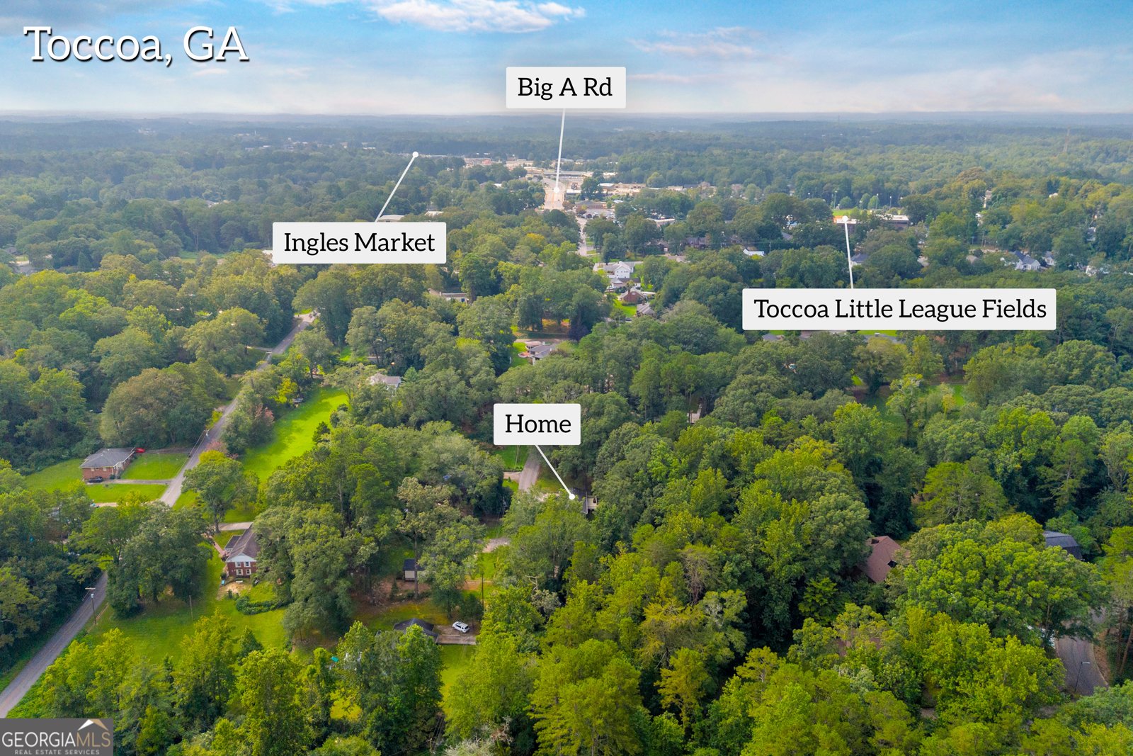 1168 Rosedale Street Toccoa - 23