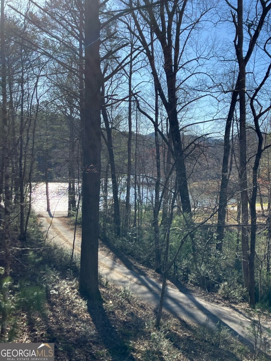 68 Star Lake Lane Sautee Nacoochee - 2