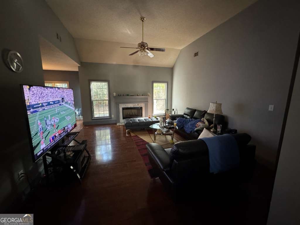 125 Farr Lake Drive Tyrone - 2