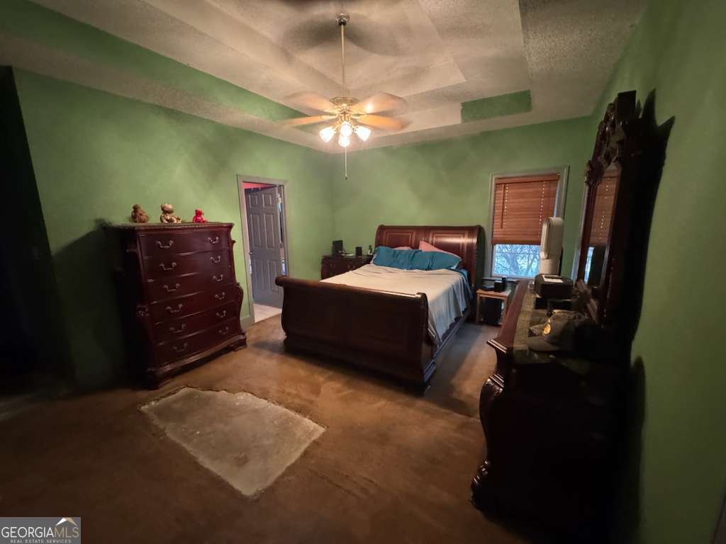 125 Farr Lake Drive Tyrone - 5