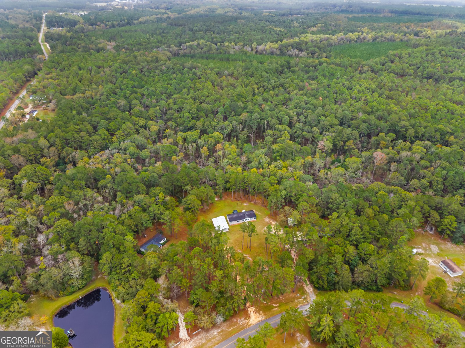 147 Creek Ridge Road Claxton - 28