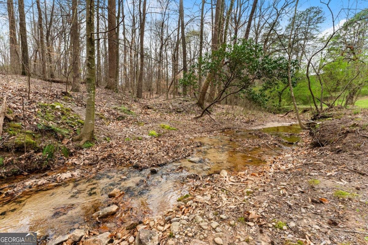 2215 Hwy 323 Gillsville - 12