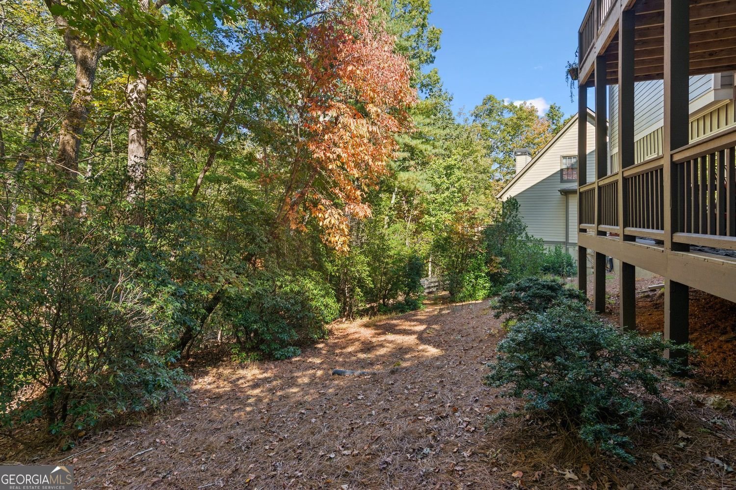 11 Mission Path Jasper - 63