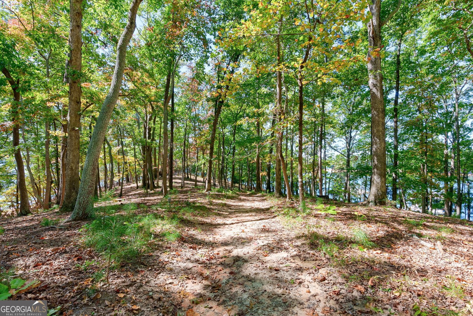 6655 Sweetwater Point Flowery Branch - 15