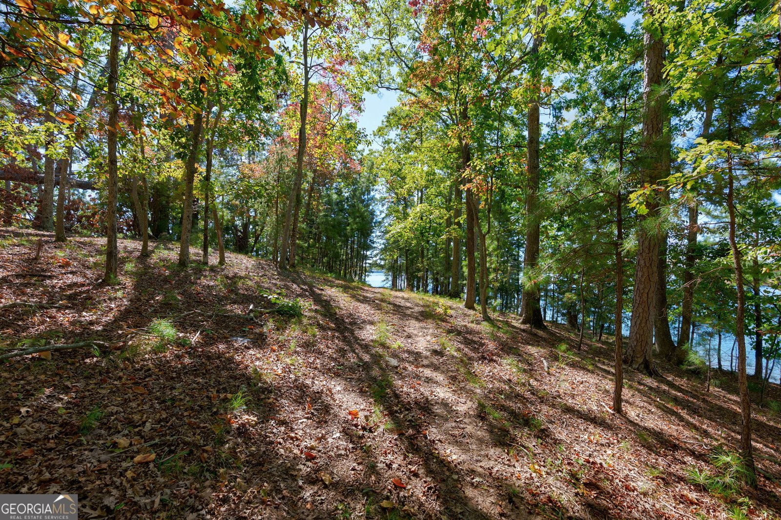 6655 Sweetwater Point Flowery Branch - 18