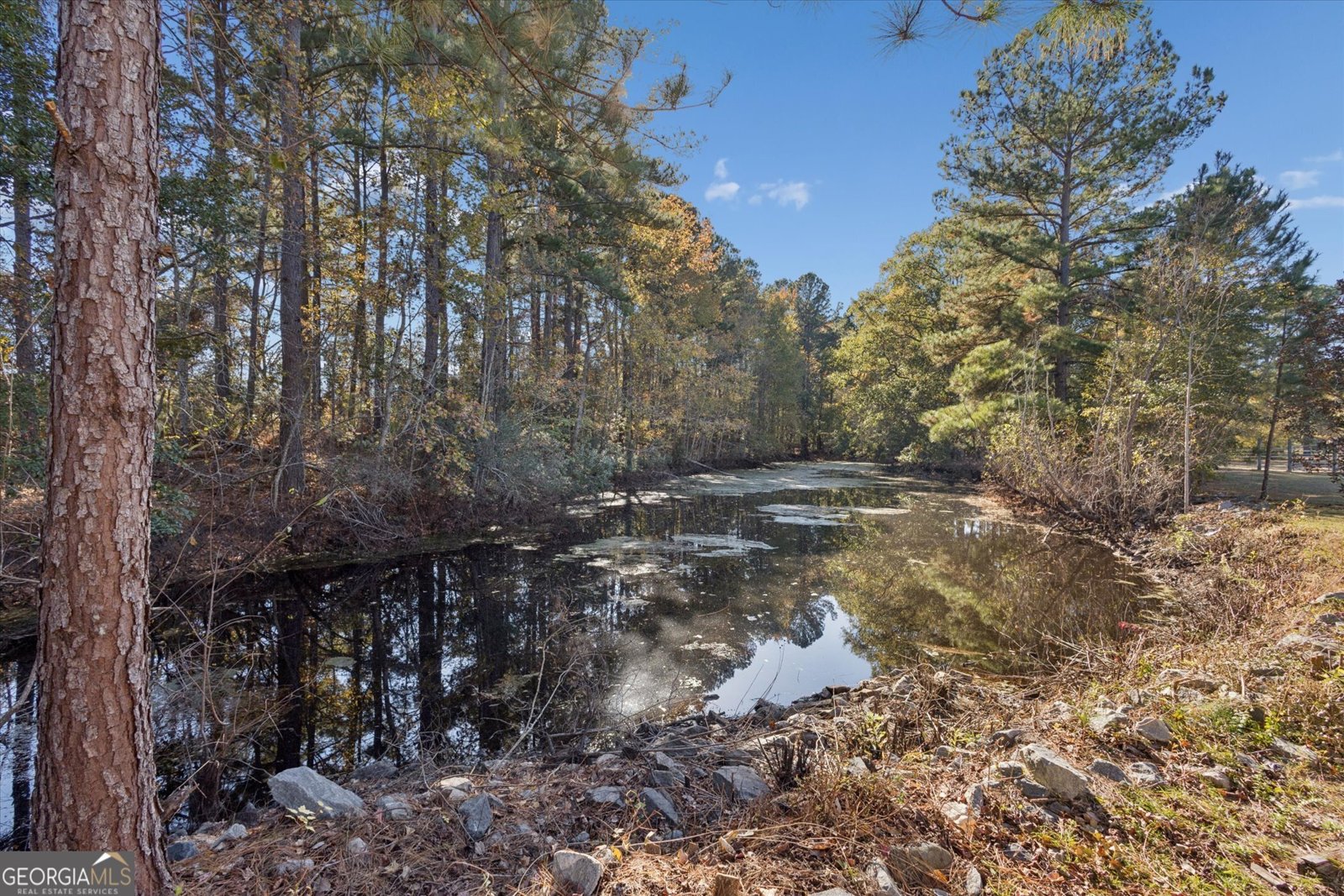 4342 Mud Road Brooklet - 37