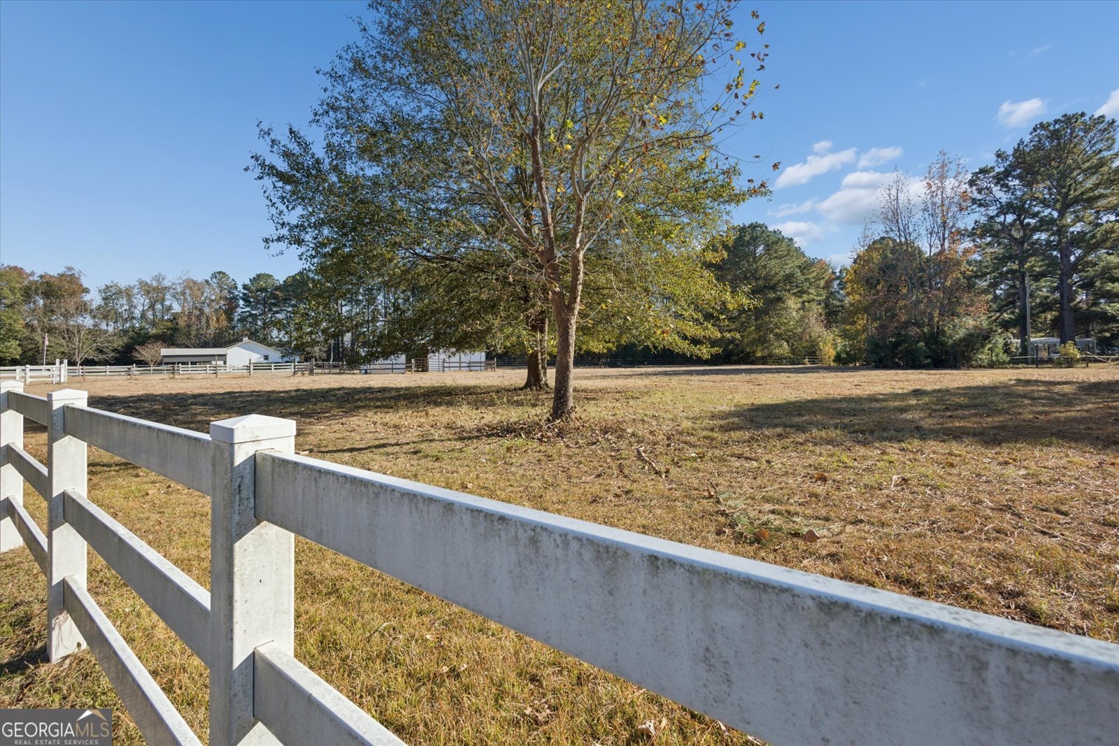 4342 Mud Road Brooklet - 4
