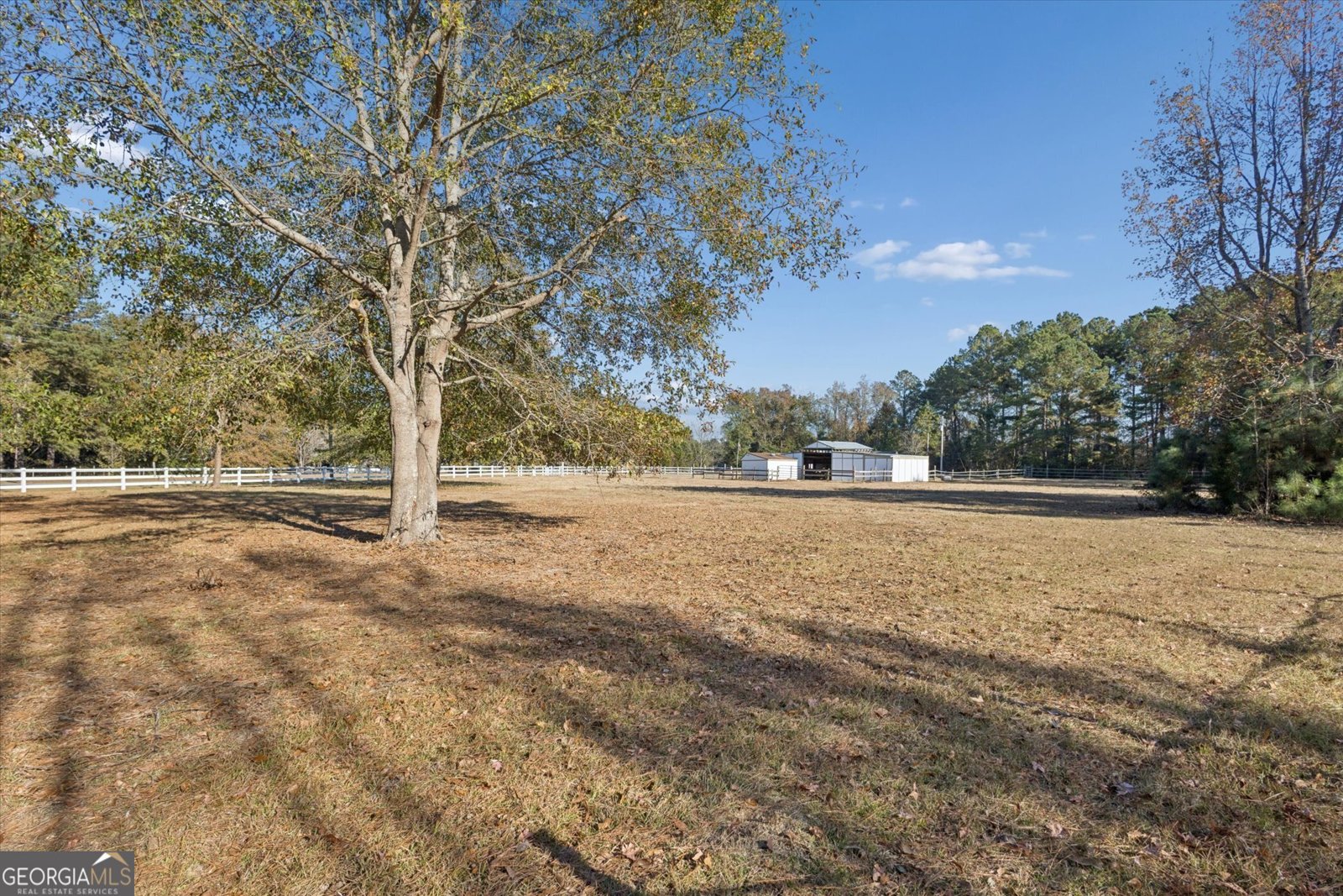 4342 Mud Road Brooklet - 44