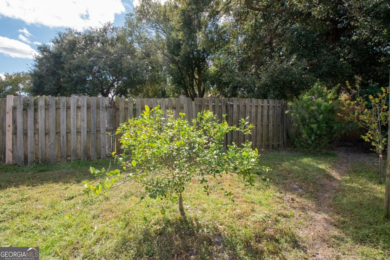 208 McQueen Circle Saint Marys - 7