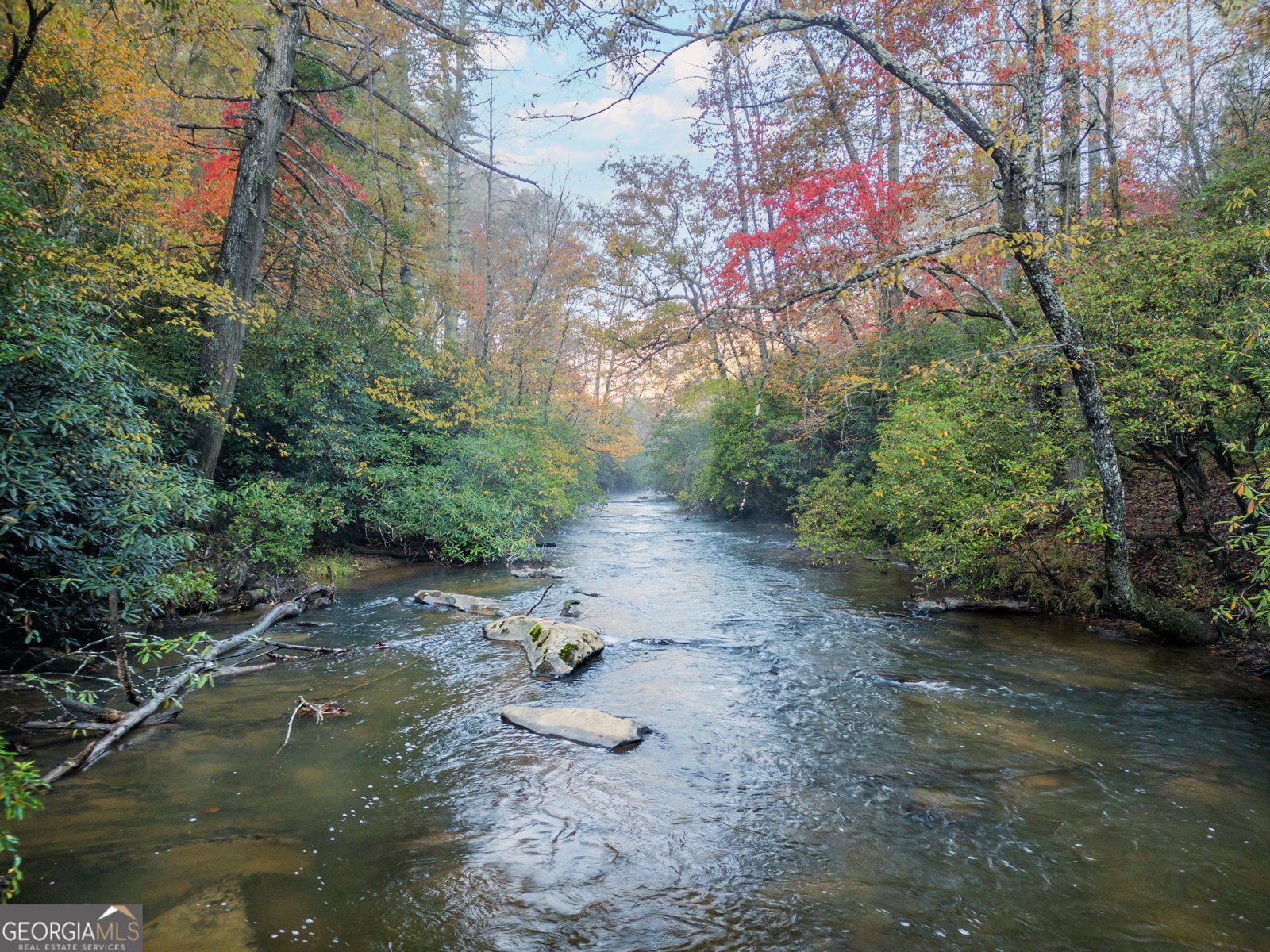 27 Riverview Lane Cherry Log - 47