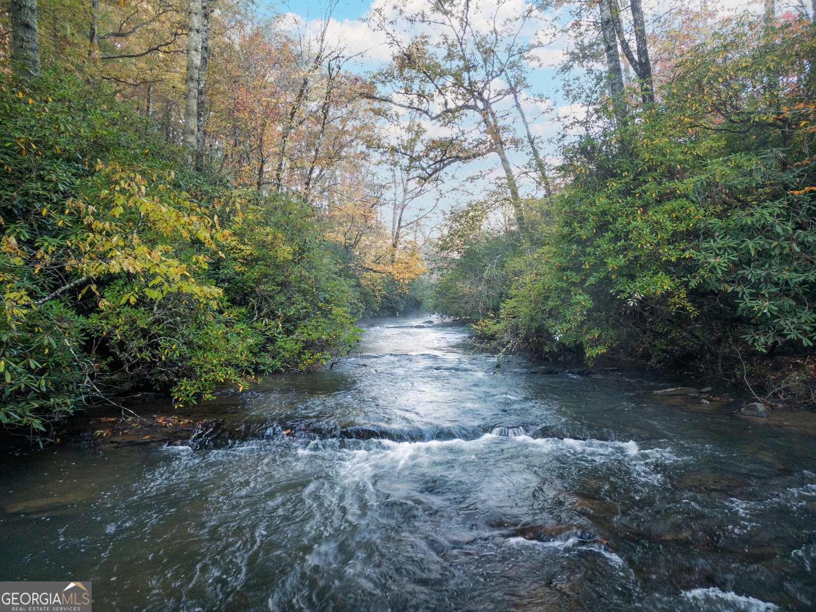 27 Riverview Lane Cherry Log - 48