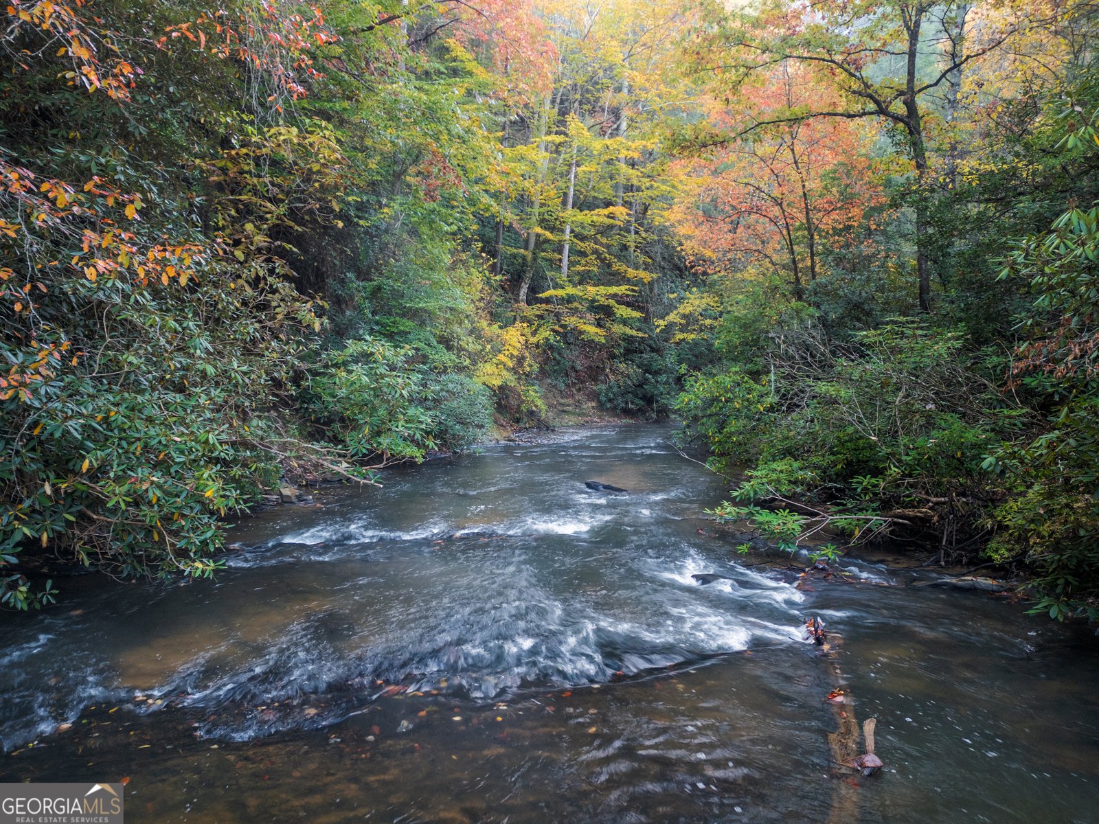 27 Riverview Lane Cherry Log - 5