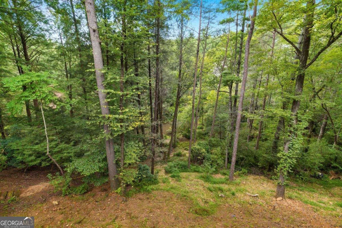 27 Riverview Lane Cherry Log - 58