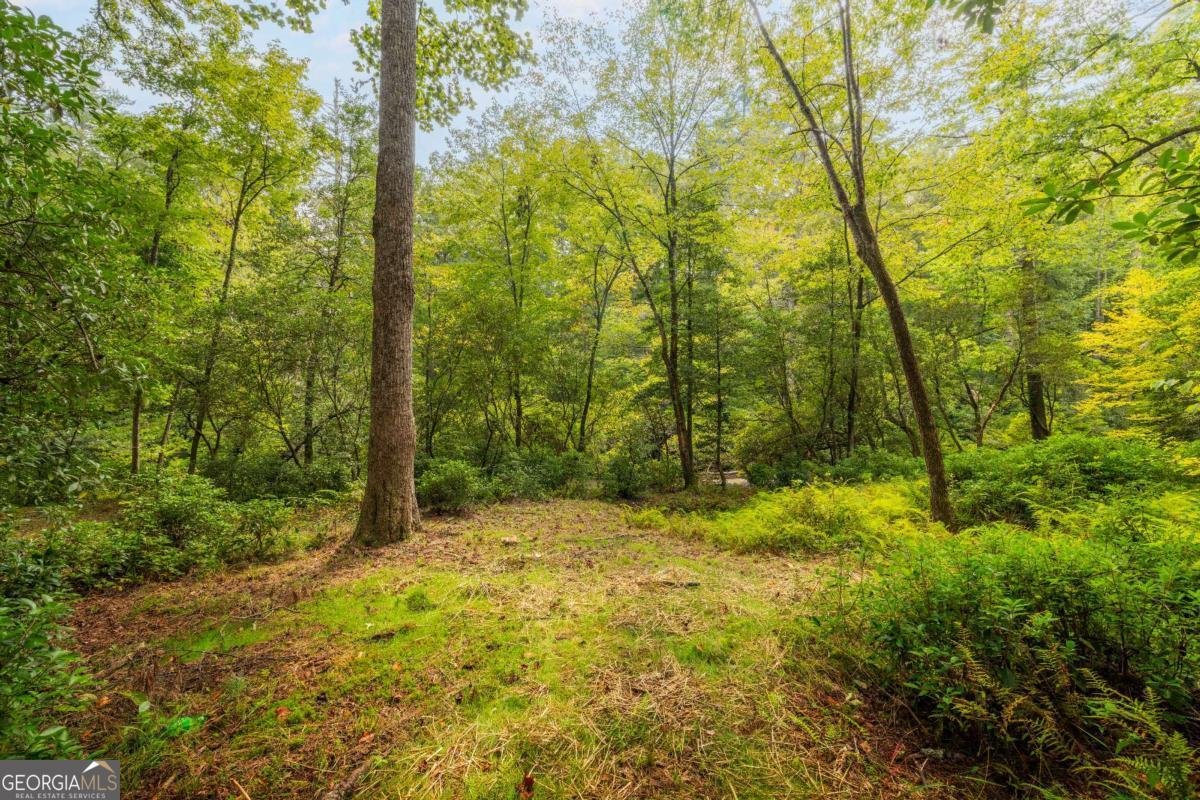 27 Riverview Lane Cherry Log - 59