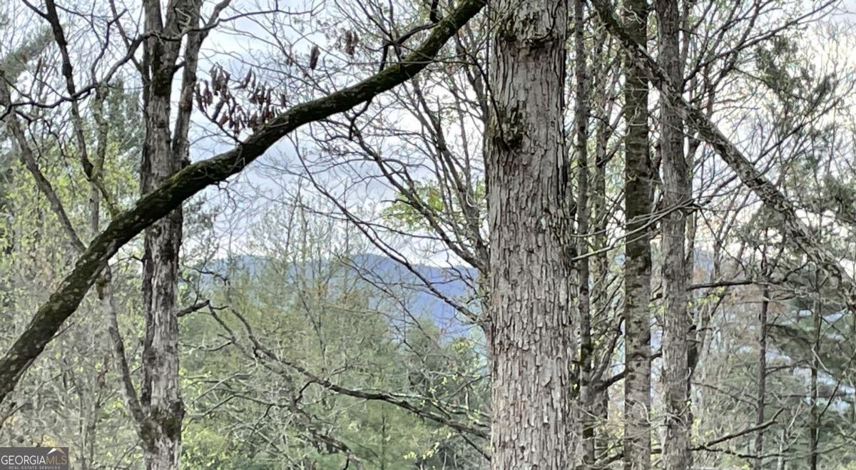 56 Hunterhill Way Ellijay - 12