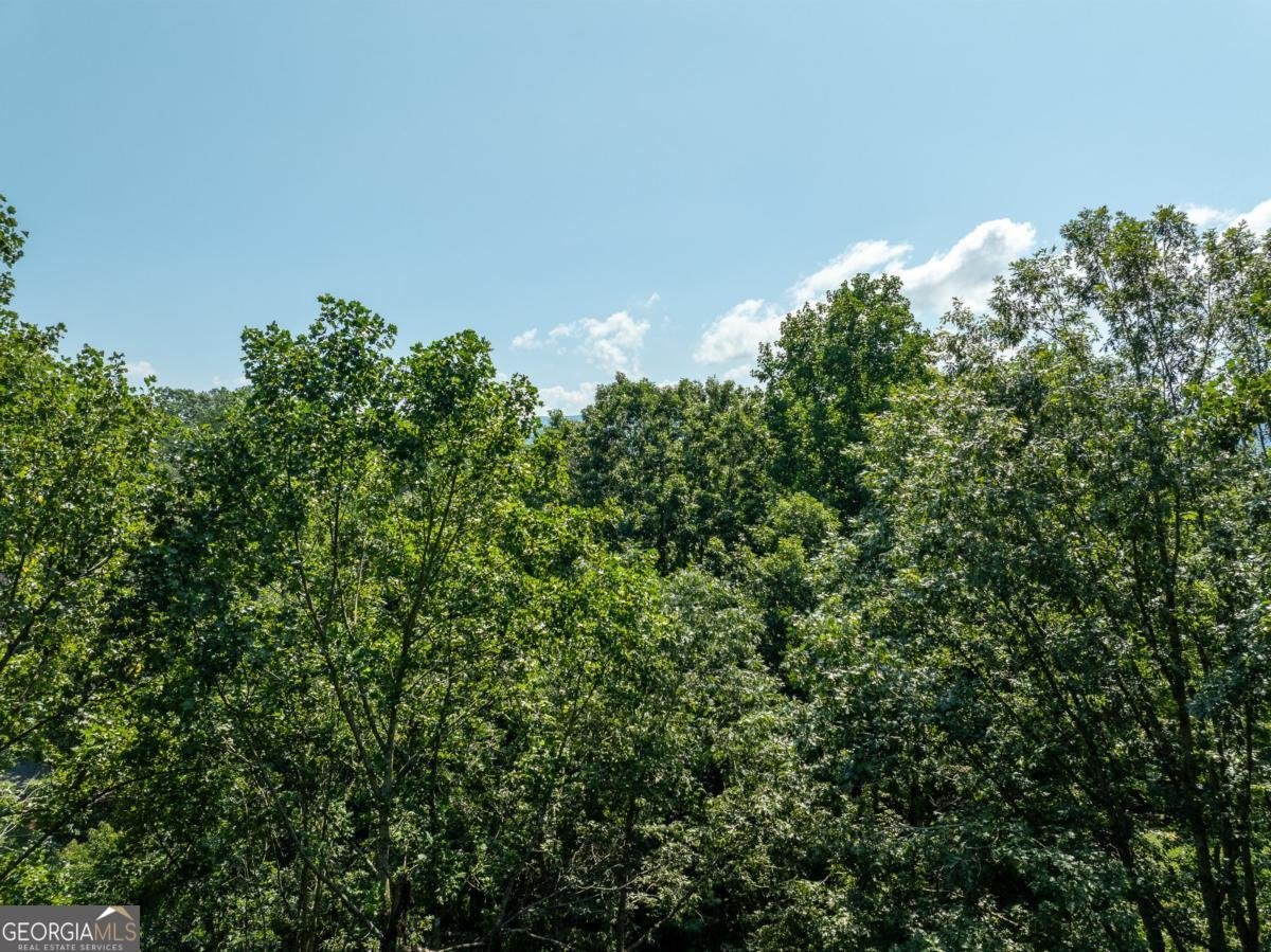 56 Hunterhill Way Ellijay - 17