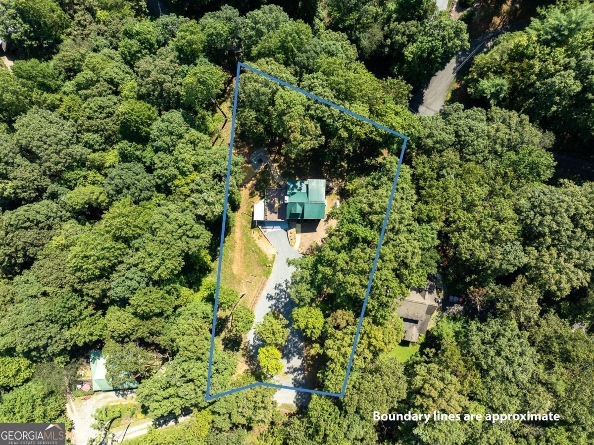 56 Hunterhill Way Ellijay - 19