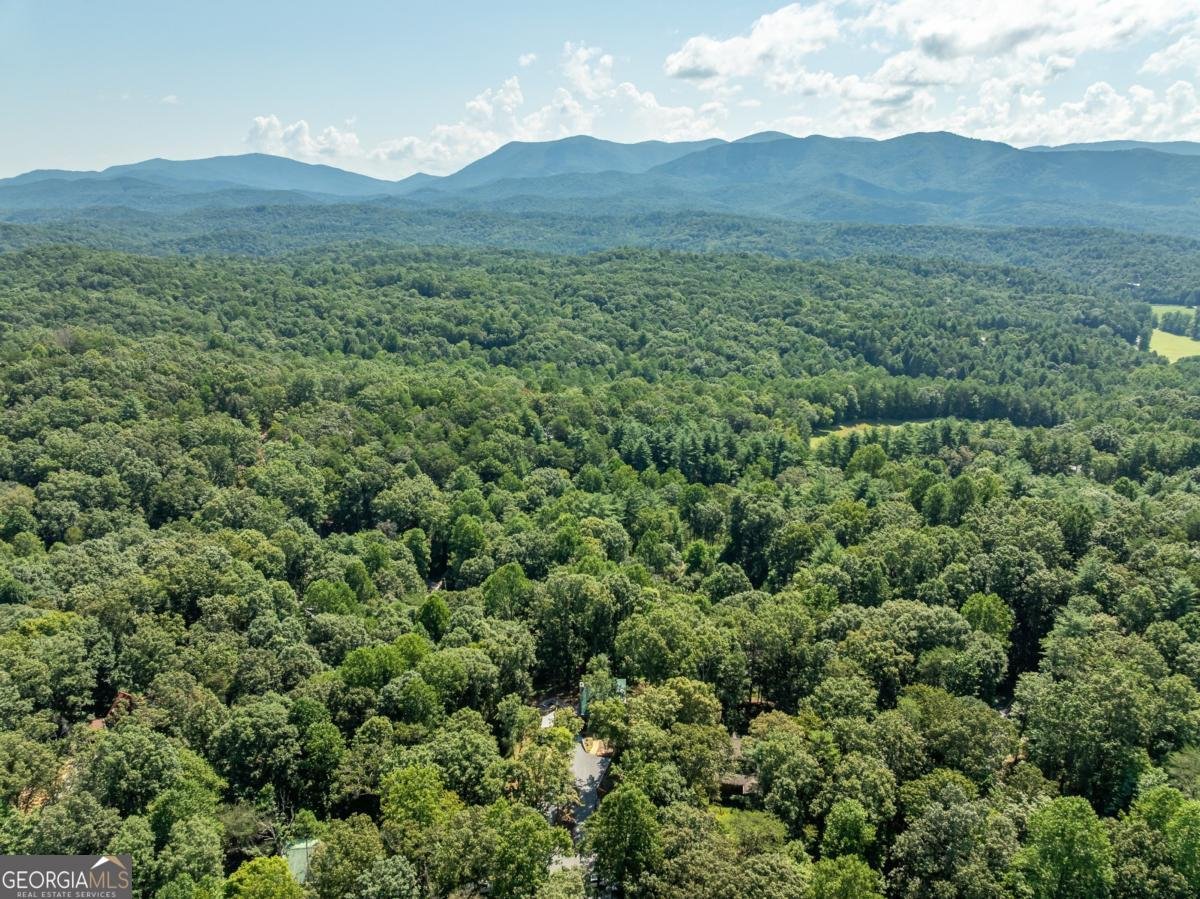 56 Hunterhill Way Ellijay - 20