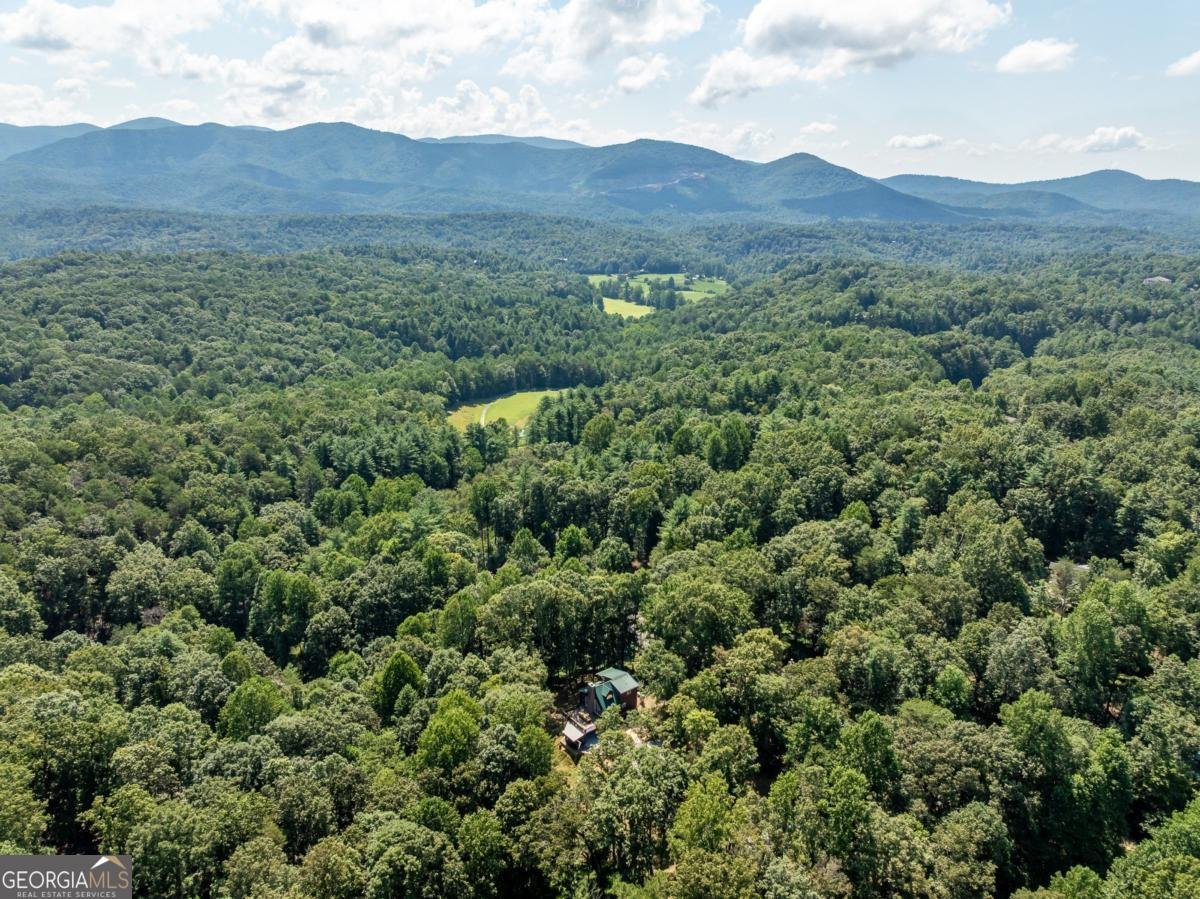 56 Hunterhill Way Ellijay - 21