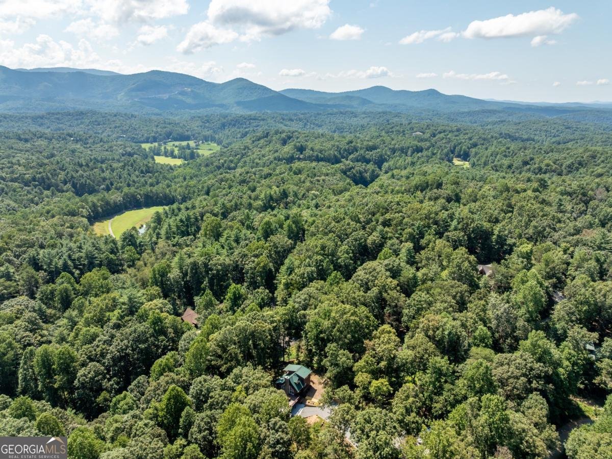 56 Hunterhill Way Ellijay - 22