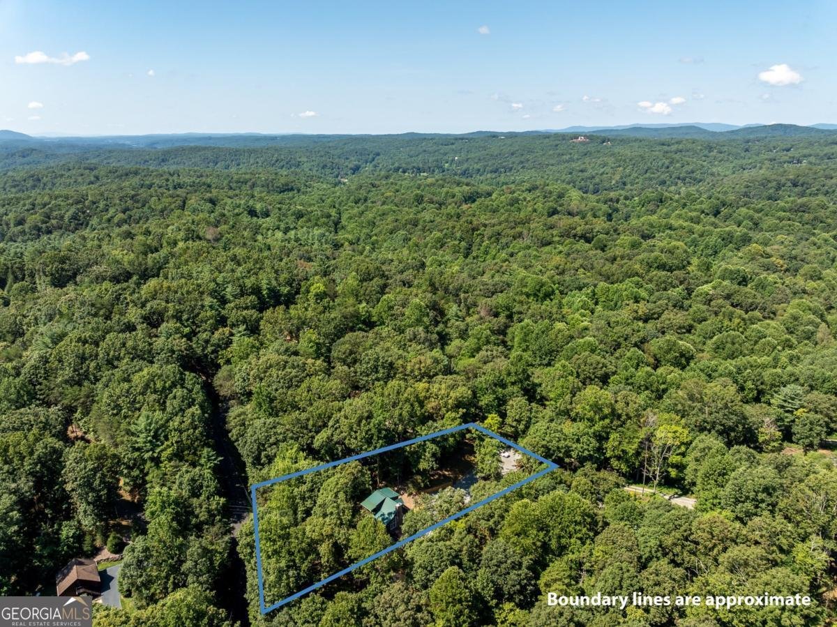 56 Hunterhill Way Ellijay - 23